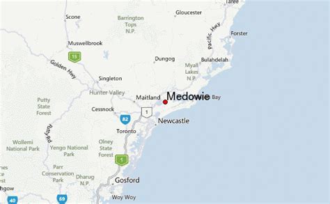 Medowie Weather Forecast