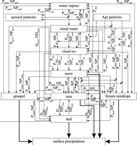 Flow chart showing all hydrometeor types and microphysical processes in ...