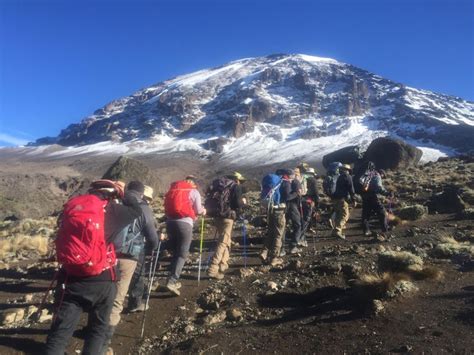 6 Days Kilimanjaro Climb Rongai Route GetYourGuide