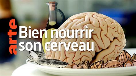 Bien Nourrir Son Cerveau Documentaire Senscritique