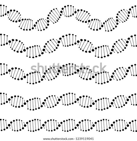 Human Dna Chain Genome Helix Isolated Stock Vector Royalty Free