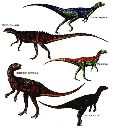 Ancient and Extinct Reptile Types - The Dinosaurs - FactZoo.com ...