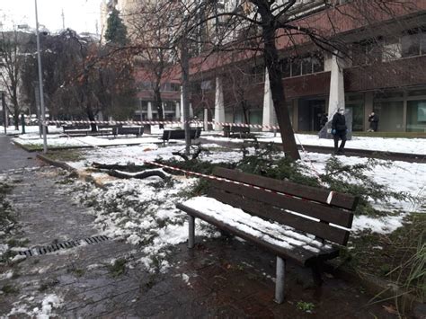 Gli Interventi Della Prociv Legnano Per La Nevicata LegnanoNews