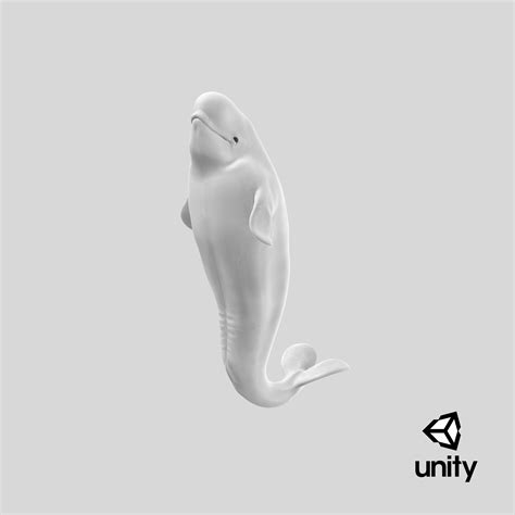 Beluga Whale Young Performance Pose 3d Model 99 3ds Blend C4d