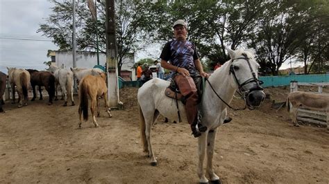 FEIRA DE CAVALOS EM BEZERROS TEM PREÇO BAIXO YouTube