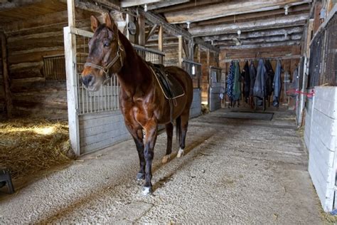 Horseback Riding Ranch, Horse Stables, Barns and Facilities