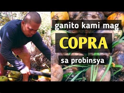 Pagko Kopra Ang Isa Sa Hanapbuhay Namin Sa Probinsya Magsasaka Kopra