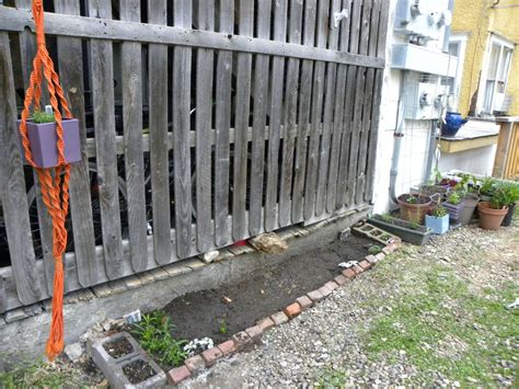 Finally able put plants outside!!! : r/gardening