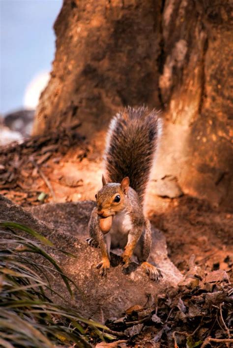 Its Lunch Timeok Shutterbug