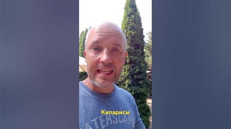 Почему кипарисы пирамидальные? - YouTube