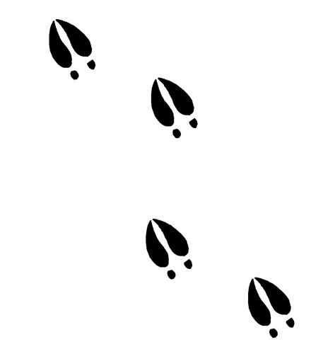 How To Draw Deer Tracks