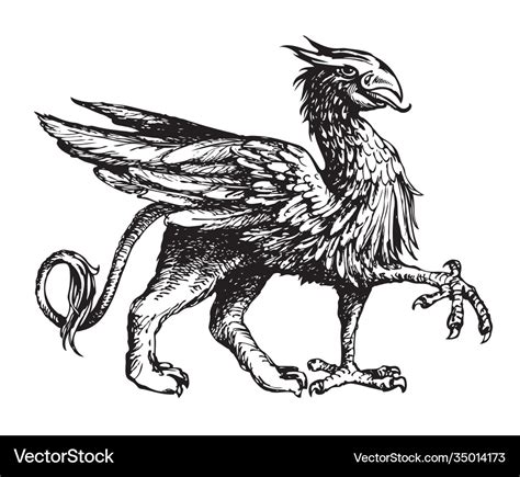 Sketch Griffin Hand Drawn Royalty Free Vector Image