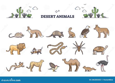 Desert Animals Collection With Hot Environment Habitat Species Outline