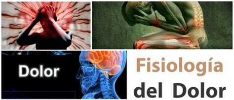 Fisiolog A Del Dolor Procesos Del Dolor Transducci N Aspectos