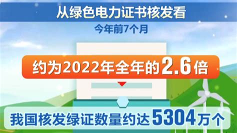 《这十年》微纪录片 第4集《阿娟的互联网故事》何瑜娟 荔枝网