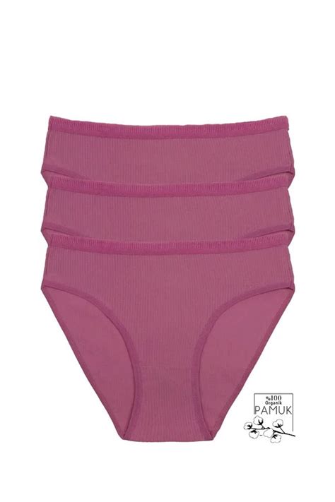 armonika Kadın Gül Kurusu Pamuklu Likralı Bikini Külot Lü Paket Fiyatı Yorumları Trendyol