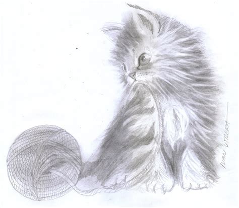 Dibujos De Gatos A L Piz S Lo Para Amantes De Los Gatitos