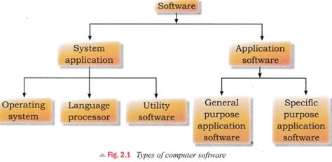 Cbse Notes For Class 5 Computer In Action Computer Software And Its