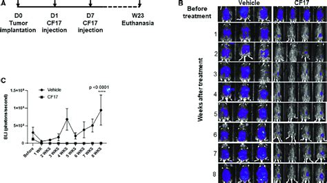 Cf17 Shows Antitumor Efficacy In An Id8 Syngeneic Murine Model Of