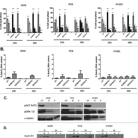 Expression Of Class Ia Pi K P Isoforms And Pten Among Nsclc Cell