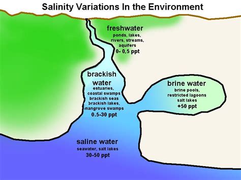 7.4: Salinity - Geosciences LibreTexts