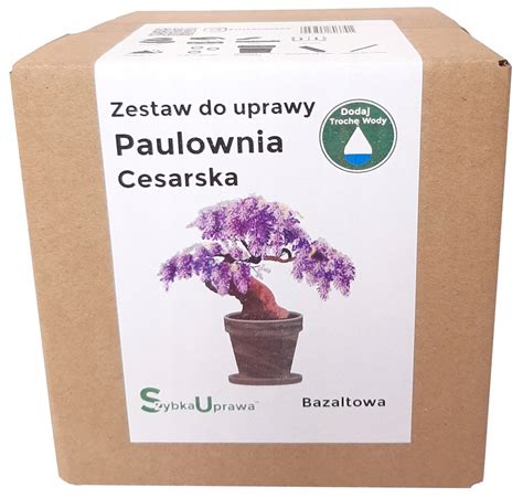 Zestaw Do Uprawy Bonsai Paulownia Cesarska BAZALT 10236630983