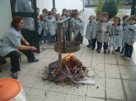 Magusto Na Eb Ji De Longos Escolas Do Ciclo Do A E Das Taipas