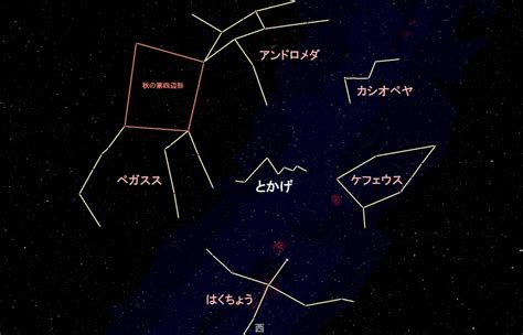 とかげ座とは？見つけ方や見どころ ステラルーム