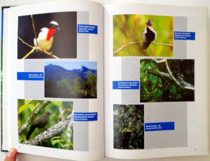 Reas Importantes Para A Conserva O Das Aves No Brasil Parte I