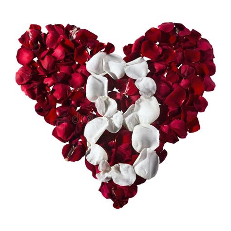 Petals In A Heart Shape The Numbers For The Calendar Stock Photo