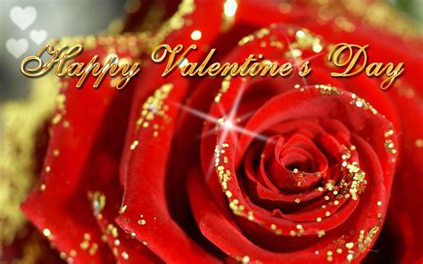 Valentine's Day Roses Wallpapers - Top Free Valentine's Day Roses ...