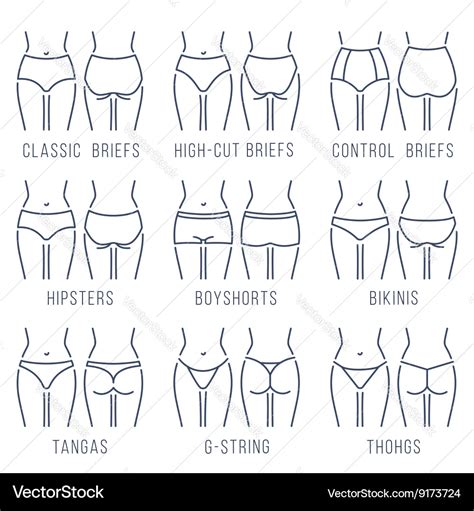 Female Underwear Panties Types Thing Line Vector Image