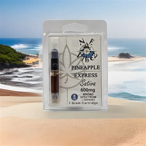 N E Vibez Gram Broad Spectrum Vape Cartridge Pineapple Express