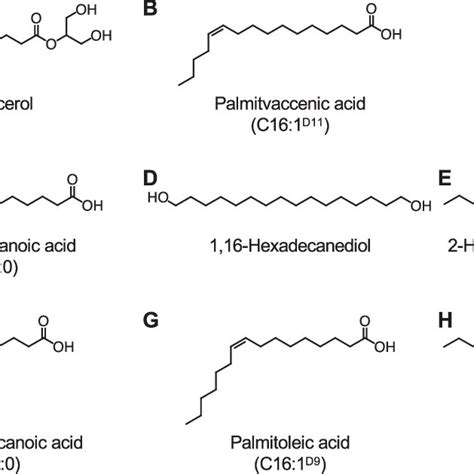 Chemical Structures Of Lipids That Have Functions In Amf Development