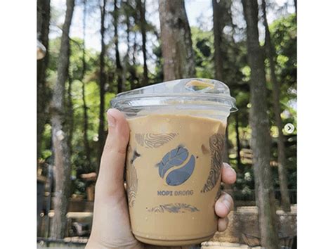 Kopi Daong Bogor Sensasi Ngopi Di Tengah Hutan Pinus Lapis Bogor