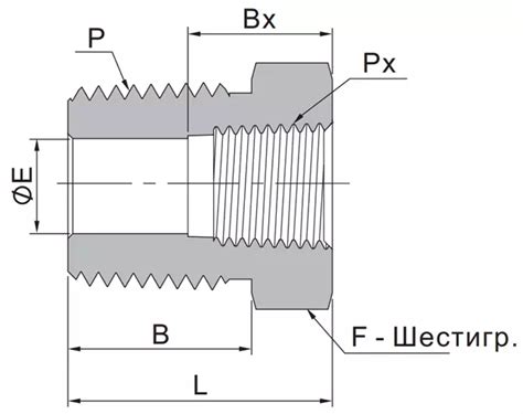 Prb Ns Rt Fitok