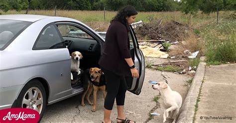 Eine Frau Wurde Auf Frischer Tat Ertappt Als Sie Ihre Drei Hunde Auf