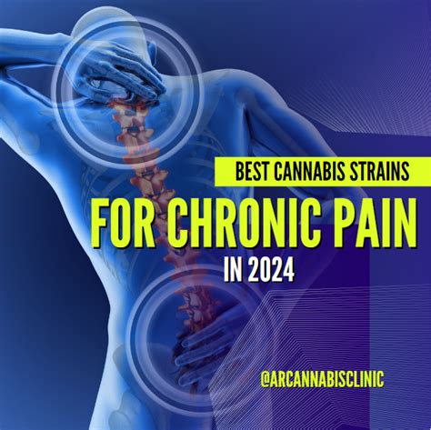 Best Cannabis Strains For Chronic Pain In 2024