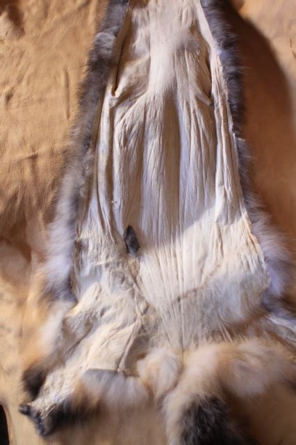 Red Fox Pelt