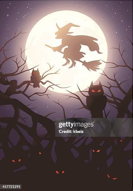 1,200 Witches Flying Stock Photos, High-Res Pictures, and Images - Getty Images