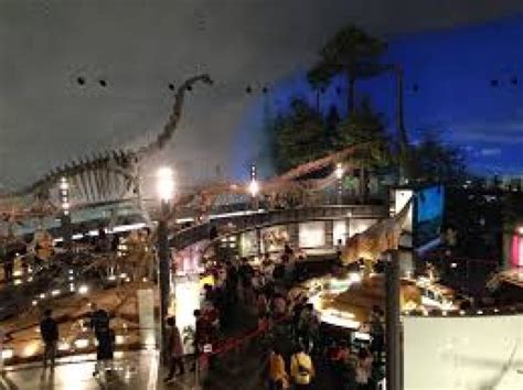 Fukui Prefectural Dinosaur Museum Fukui Japan Top Attractions