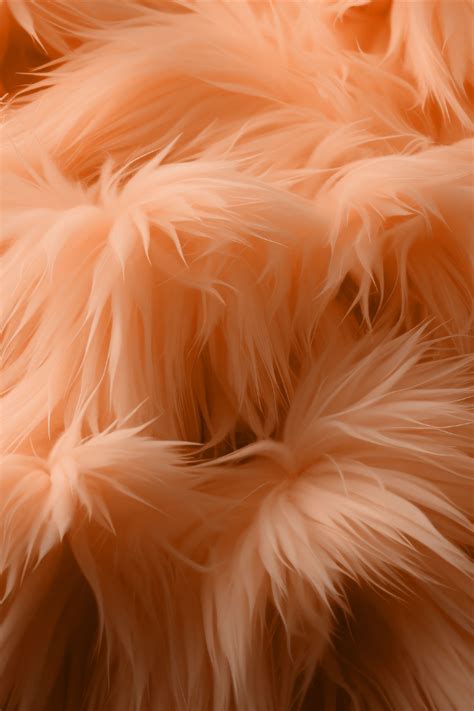 Everythings Just Peachy Pantones 2024 Color Of The Year Is Peach