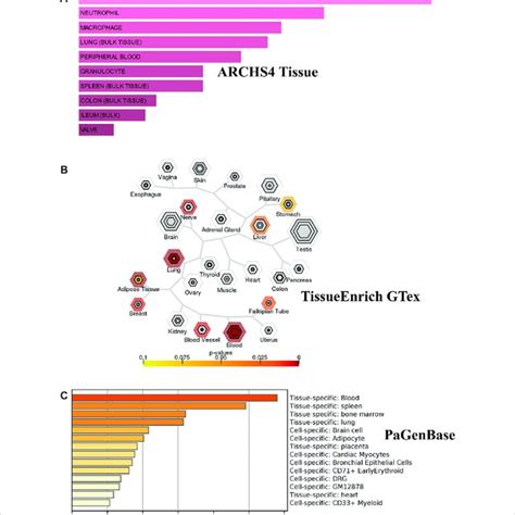 Tissue/cells-specific enrichment of Shared comorbidities-COVID-19... | Download Scientific Diagram