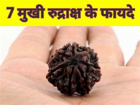 Saatmukhi Rudraksh सात मुखी रुद्राक्ष के हैं कई चमत्कारी फायदे ऐसे