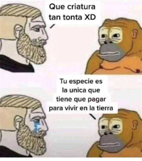 Memes De Pagar En Espa Ol Pintzap