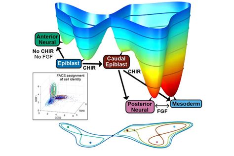 Mathematical Models For Cellular Destination Prediction IQS