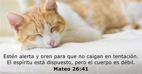 Mateo Vers Culo De La Biblia Dailyverses Net