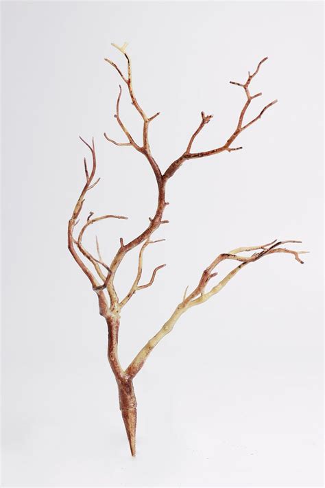 Clearance Bulk 13 Manzanita Branches Plant Twigs For Table