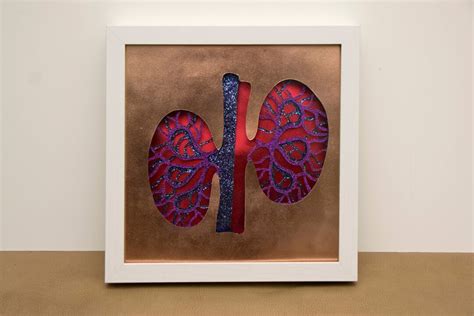 Kidney Art Doctor T Idea Medicine Art Anatomical Art Anatomy Art