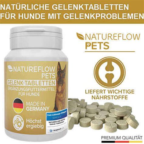 Nr Gelenktabletten F R Hunde Der Testsieger Natureflow Pets